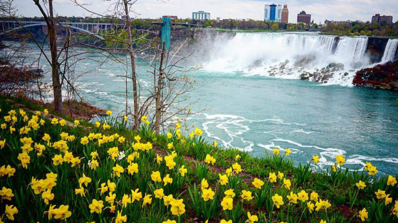 niagara falls spring super blooms