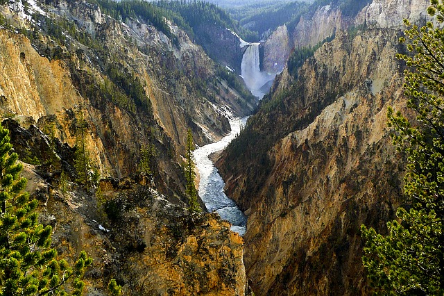 grand canyon of yellowstone national park