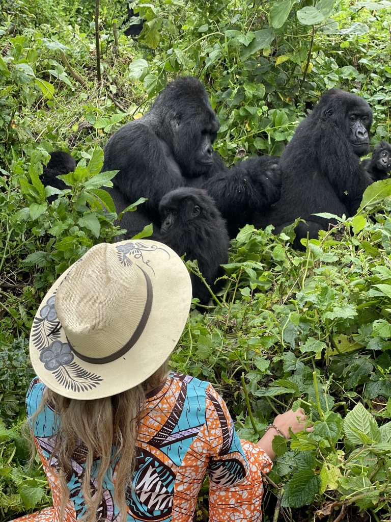 mountain gorilla trekking in d.r. congo