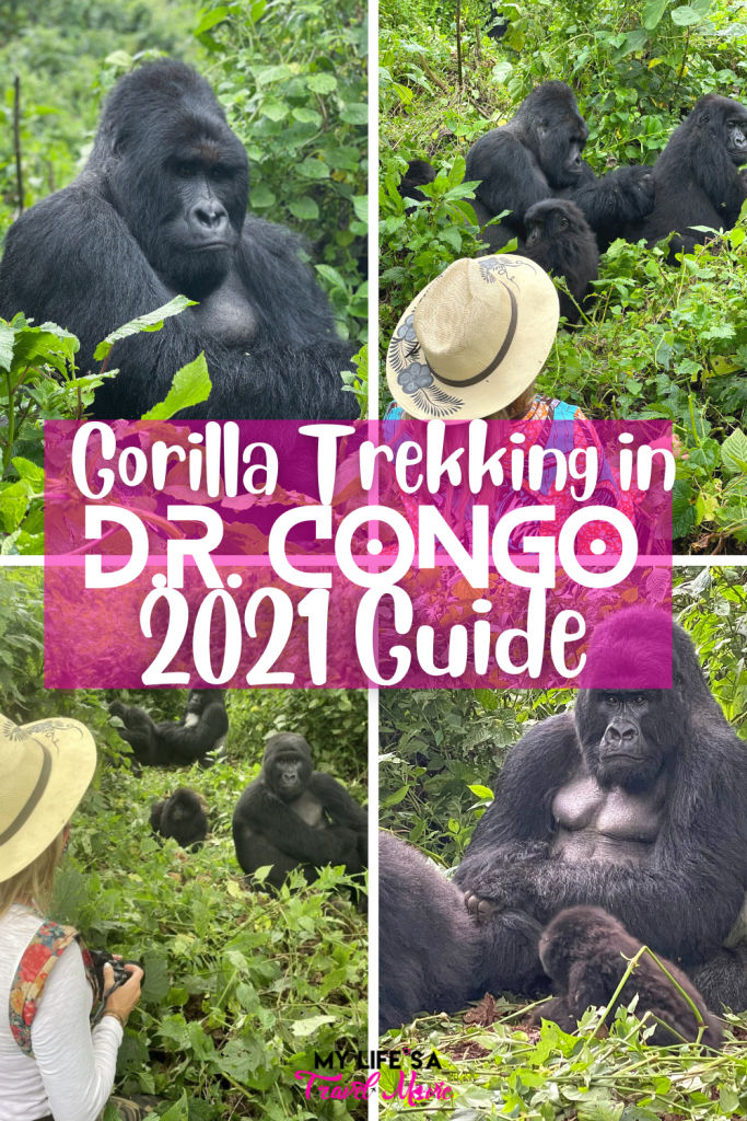 The ultimate guide to gorilla trekking in 2021! Recently I traveled solo to D.R. Congo to go gorilla trekking, and can't believe how incredible it was! This full guide to gorilla trekking will give you every detail and piece of info you need to make your bucketlist dream come true! #drcongo #congo #gorillatrekking #bucketlist #solotravel
