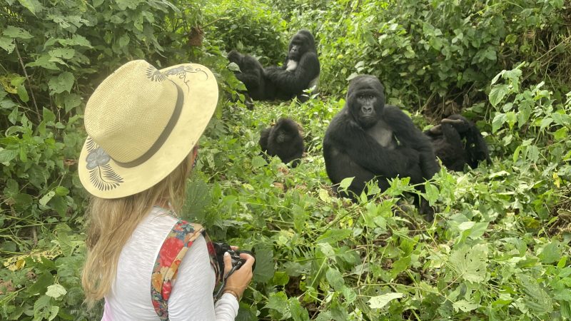 best things to do in congo mylifesamovie.com