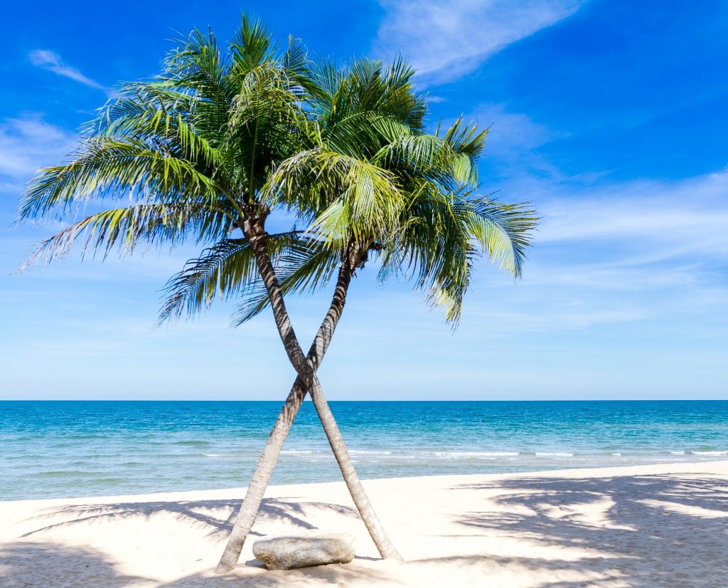 If your ideal list of girls trip ideas includes relaxing times at the beach, warm weather, and upscale dining, then Palm Beach, Florida, is the perfect location for you.