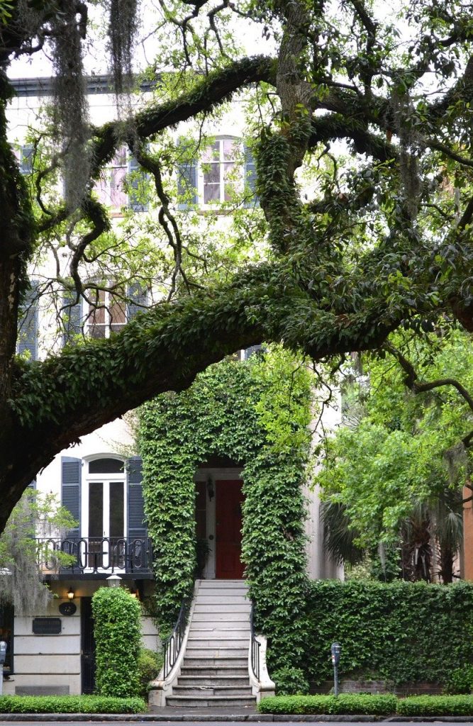 Getting inspiration to gather girls trip ideas can be difficult, but once Savannah, Georgia, is on the table, you'll be overflowing with ideas and fun things to do in this cute, historic town.
