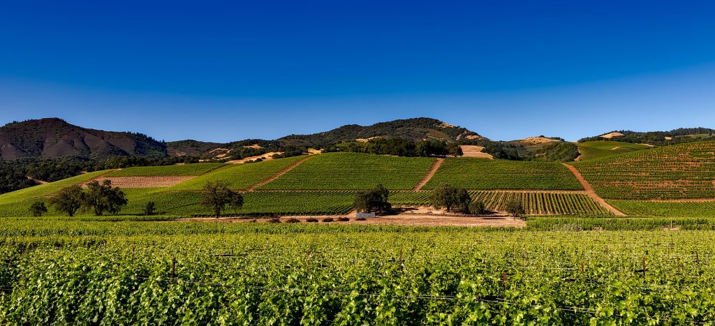One of the classic girls trip ideas would have to be Napa Valley.