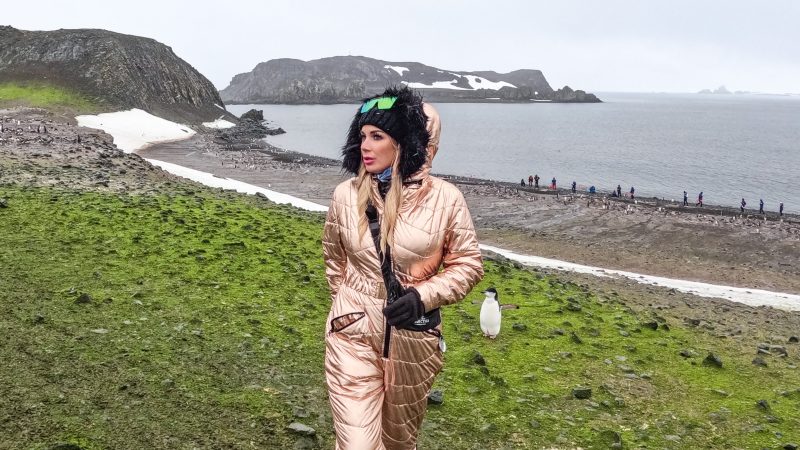 why is Antarctica turning green