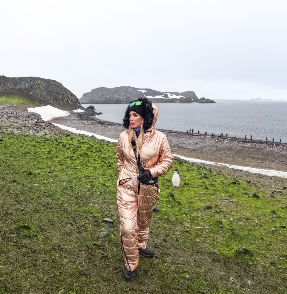 why is Antarctica turning green