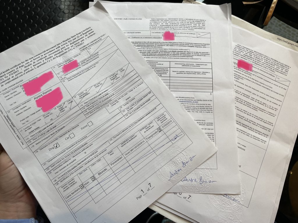 How to Travel With Your Pet From USA to Europe