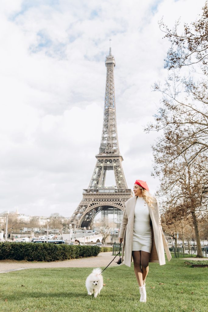 how to travel with your pet from usa to europe