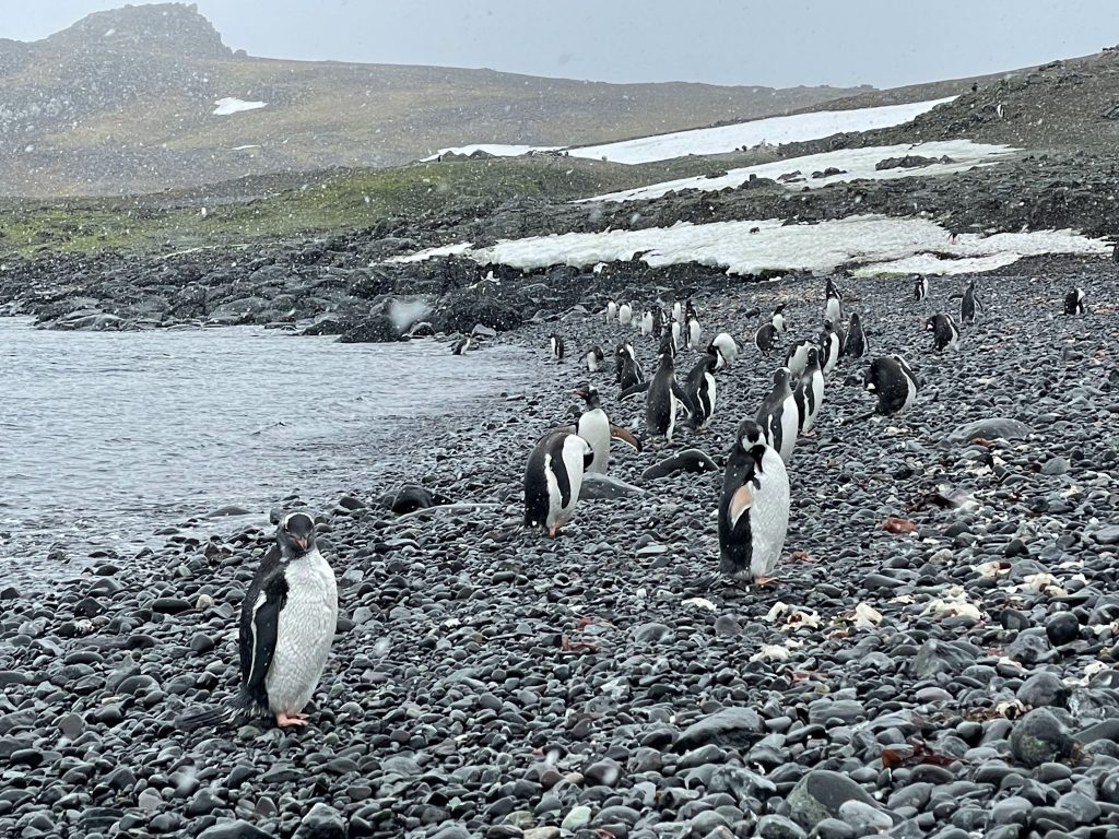 antarctica photography tips mylifesamovie.com