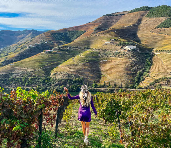porto douro valley