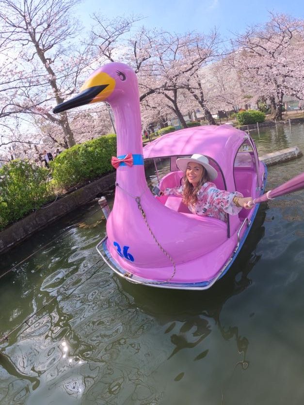 tokyo cherry blossoms 2023 ueno park