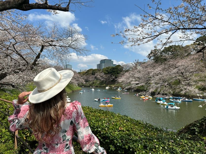 tokyo cherry blossoms 2023