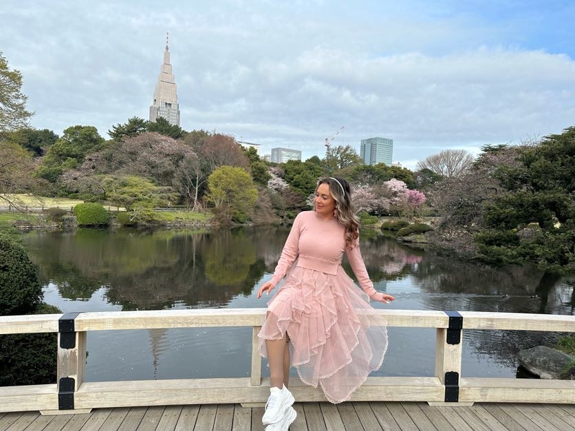 shinjuku gyoen park cherry blossoms