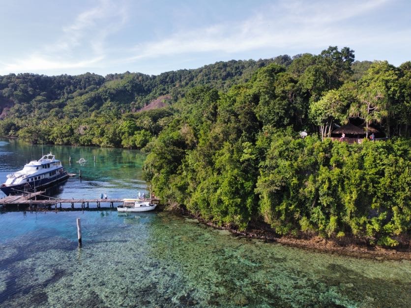 papua new guinea SARV sorcery