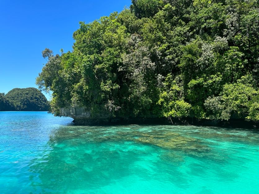 rock islands tour palau mylifesamovie.com