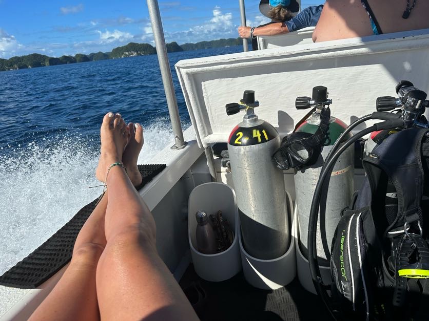 scuba diving in palau mylifesamovie.com