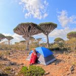socotra island by Alyssa Ramos mylifesamovie.com @mylifesatravelmovie
