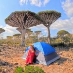 socotra island by Alyssa Ramos mylifesamovie.com @mylifesatravelmovie