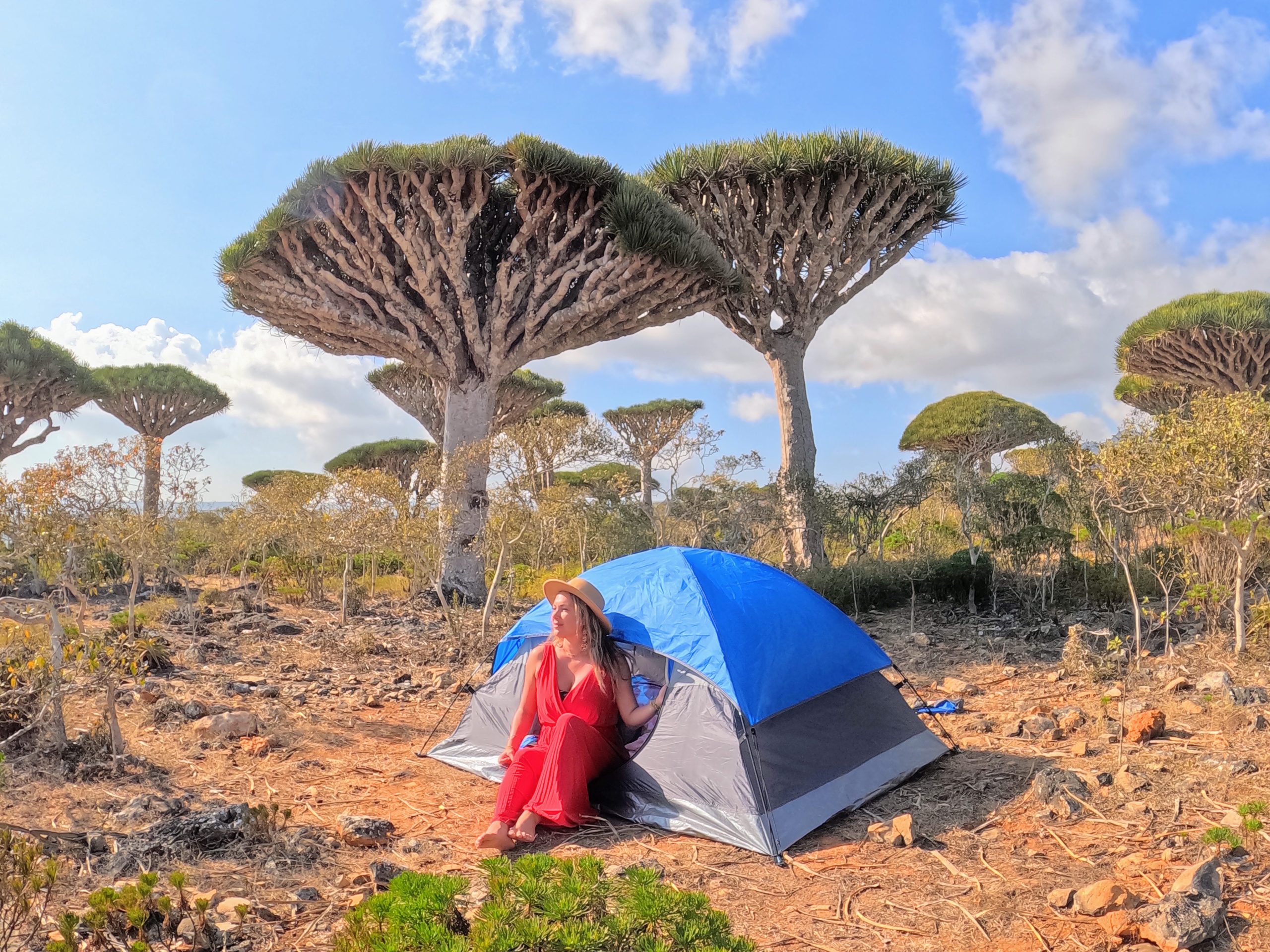 Dragons blood trees on socotra island camping by Alyssa Ramos mylifesamovie.com @mylifesatravelmovie