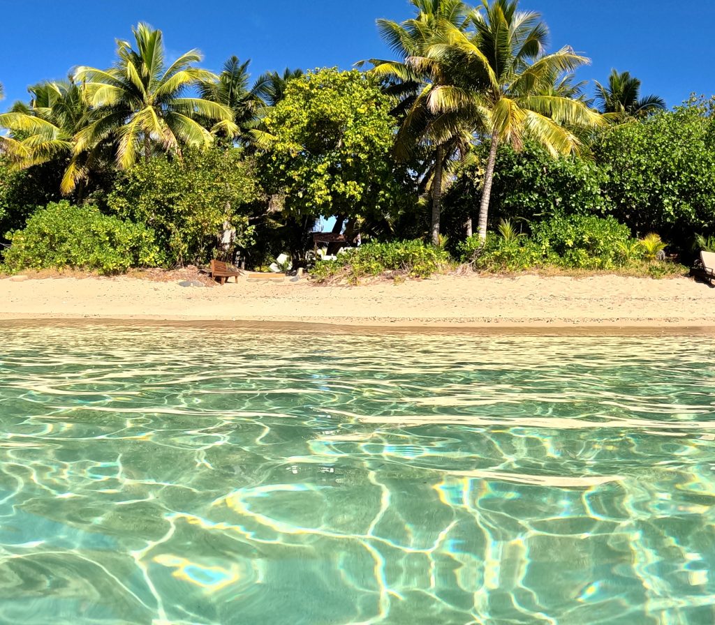 manta ray island fiji mylifesamovie.com