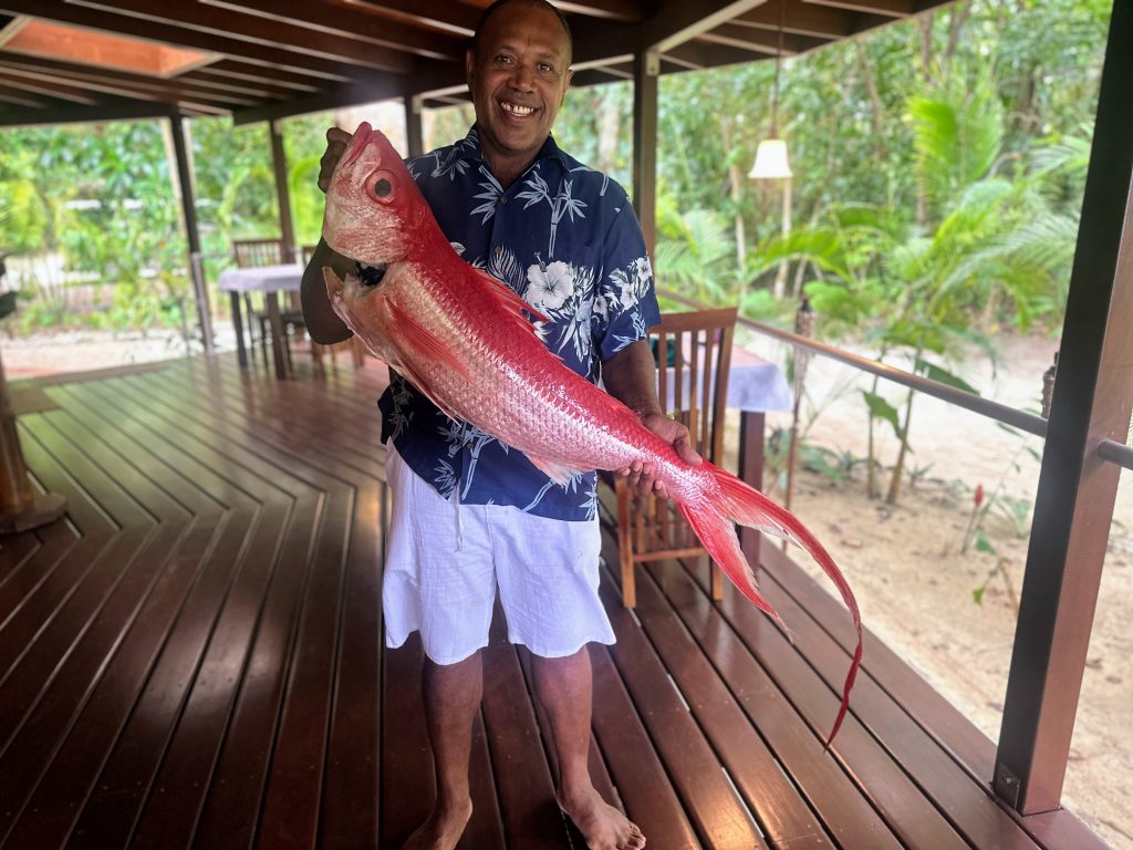pollito fish or chicken fish in vanuatu