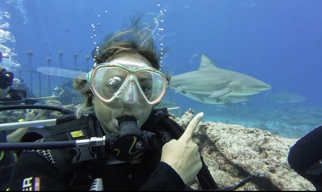 bull shark diving kuata island fiji