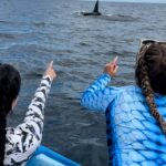 a pod of orcas approaches women on a boat in Mexico