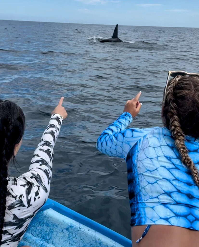 An orca swimming near two women in Mexico