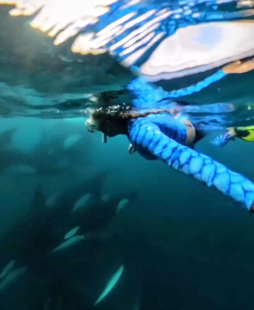 a woman swimming with orcas in la ventana mexico
