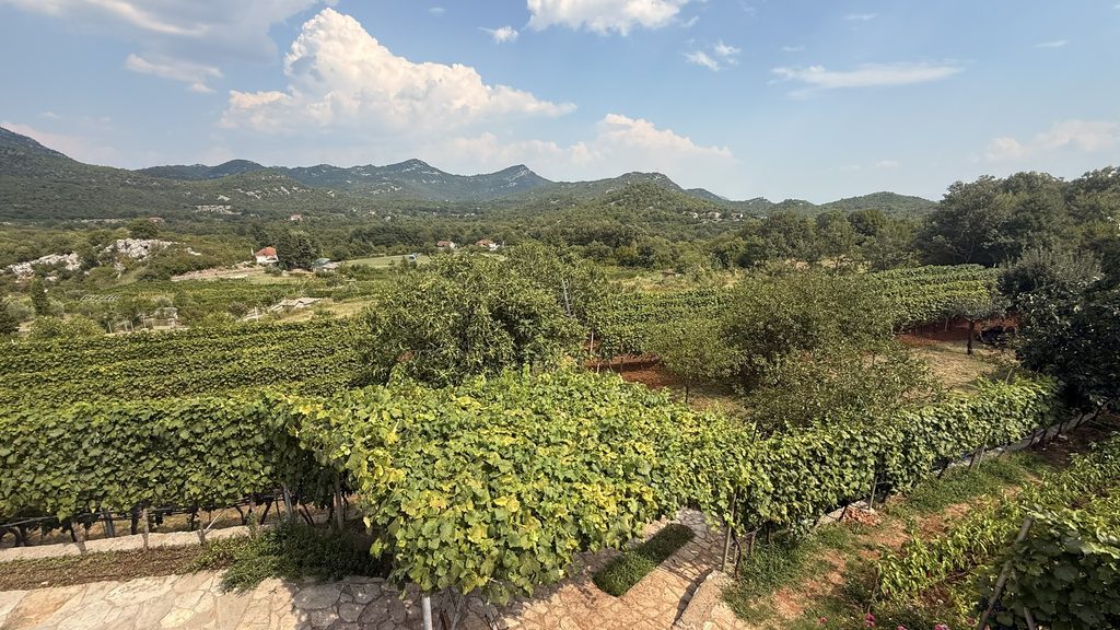 Montenegro has a beautiful wine region in the north near Podgorica